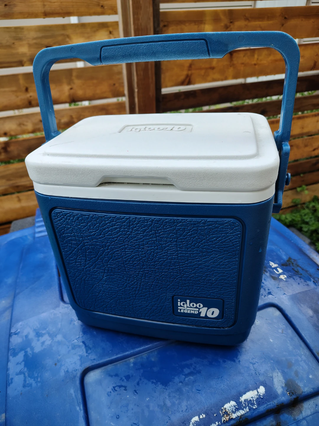 IGLOO 10qt Legend Lunch Cooler with Locking Handle