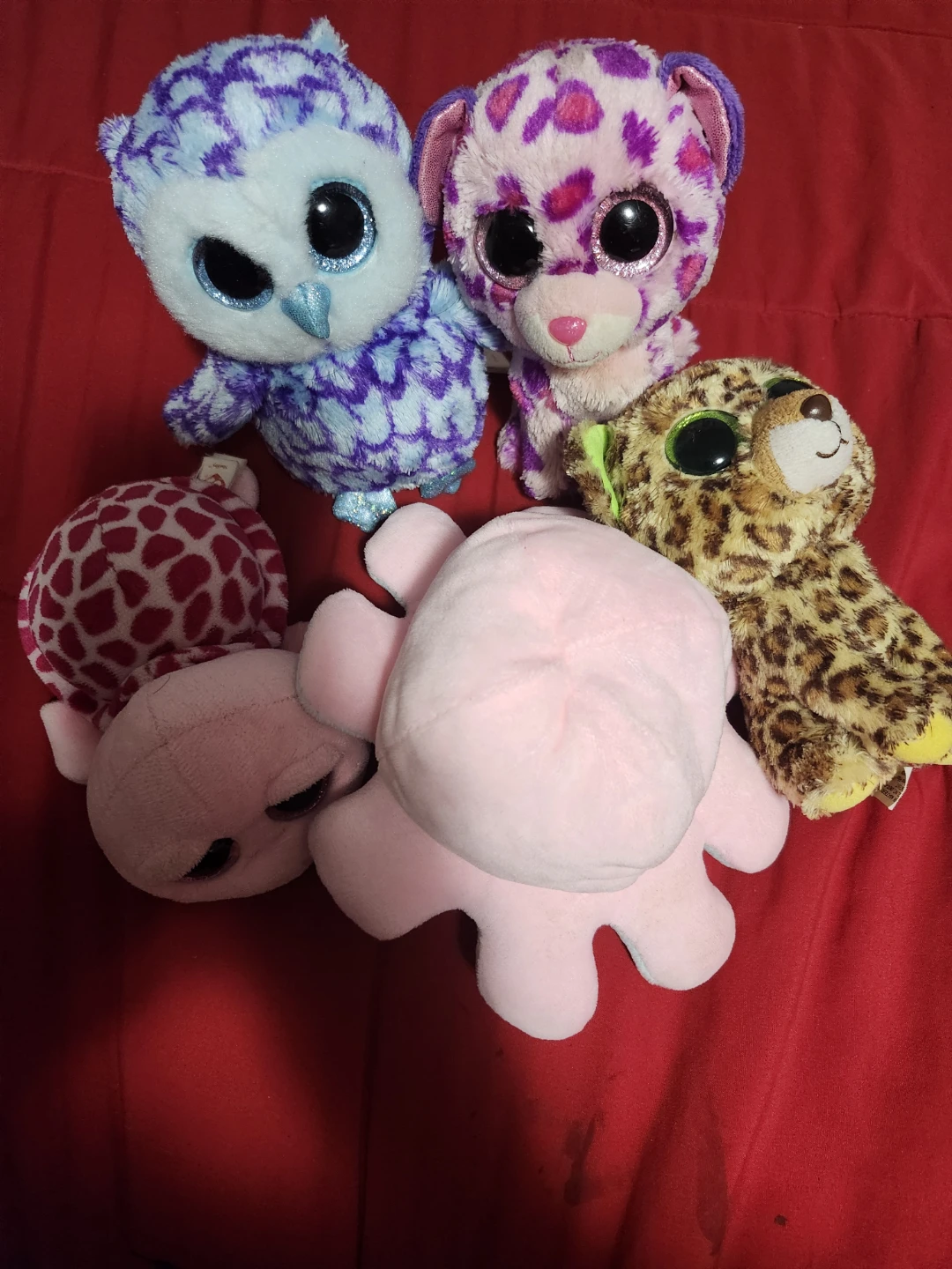 $5 all beanie boo
