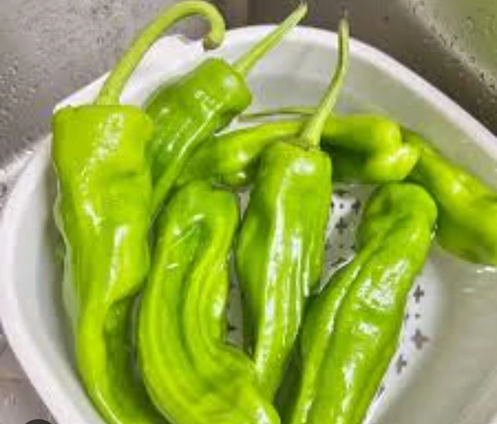 Young Pepper Plants for Sale - photo 4