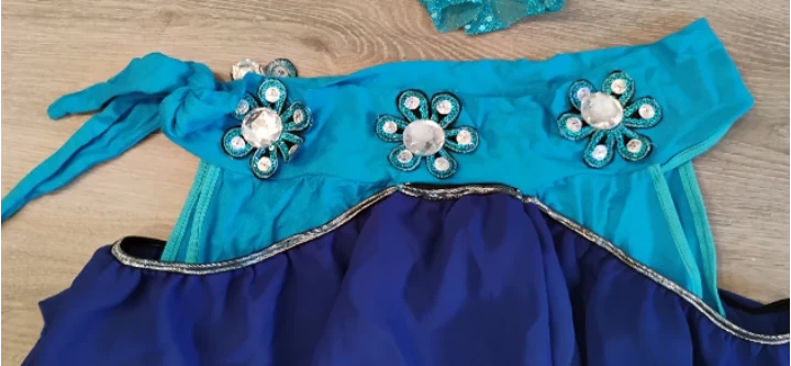 Belly Dance Costume Set - Bra and Skirt - photo 4