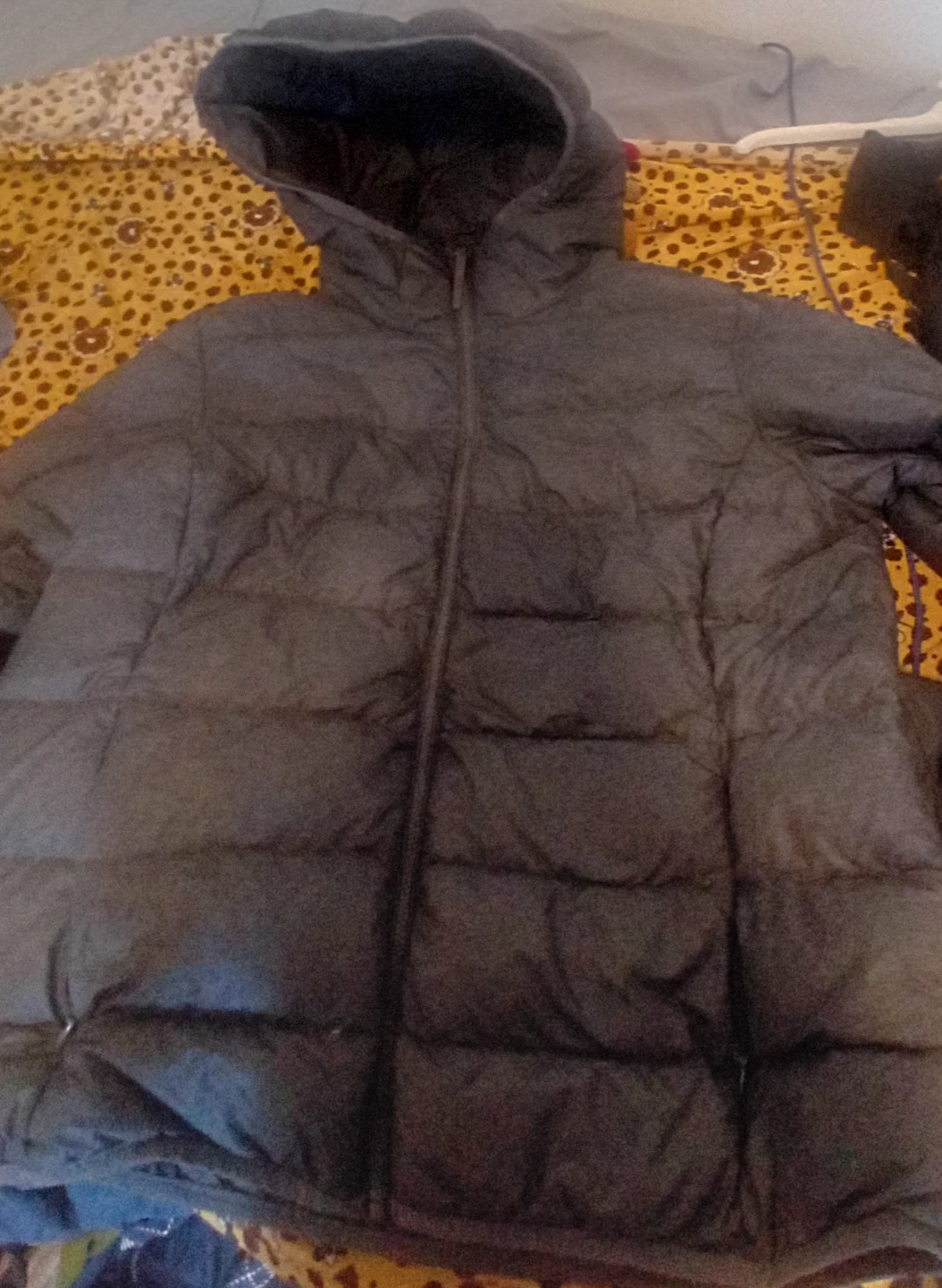 Down Puffer Jacket with Hood