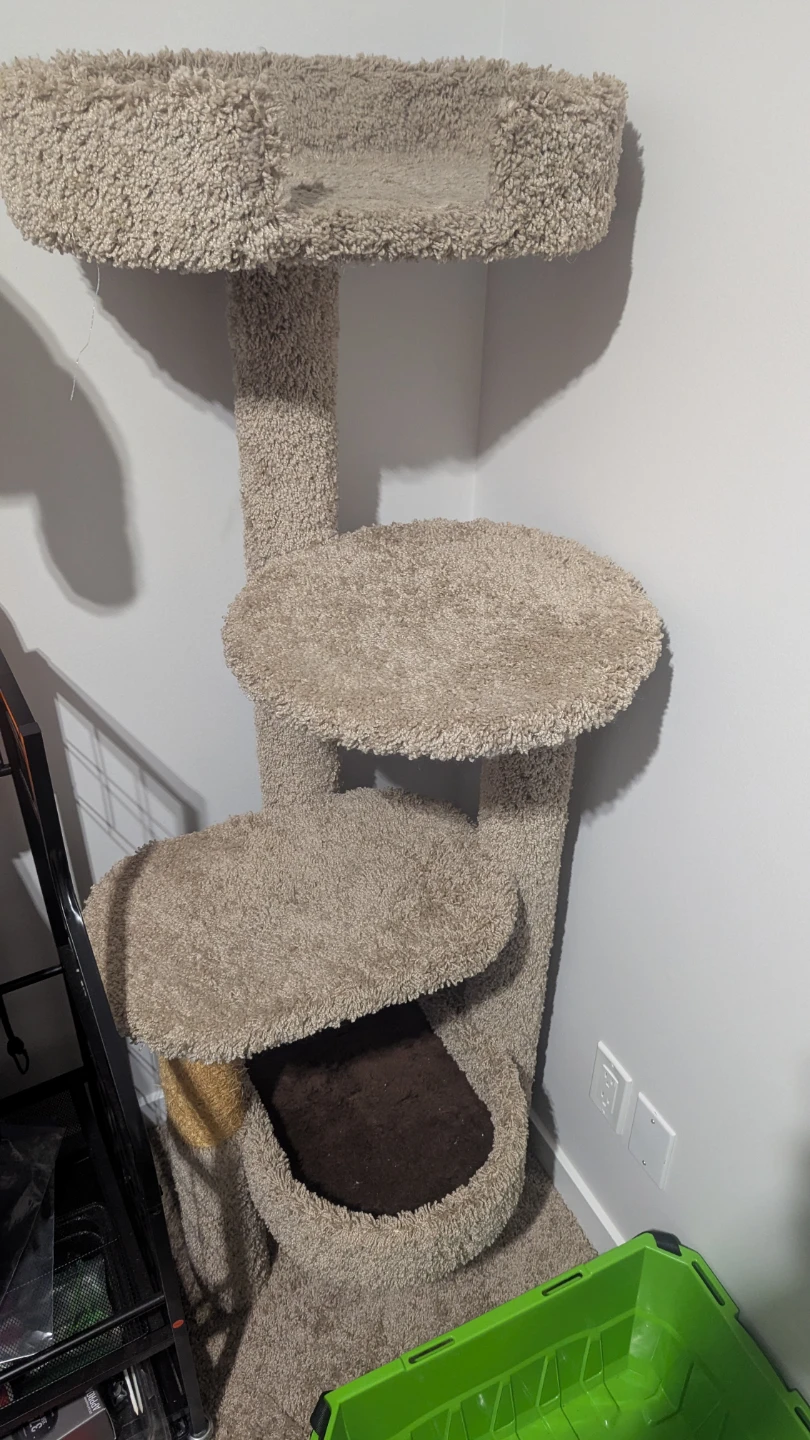 Carpeted Cat Tree with Multiple Levels