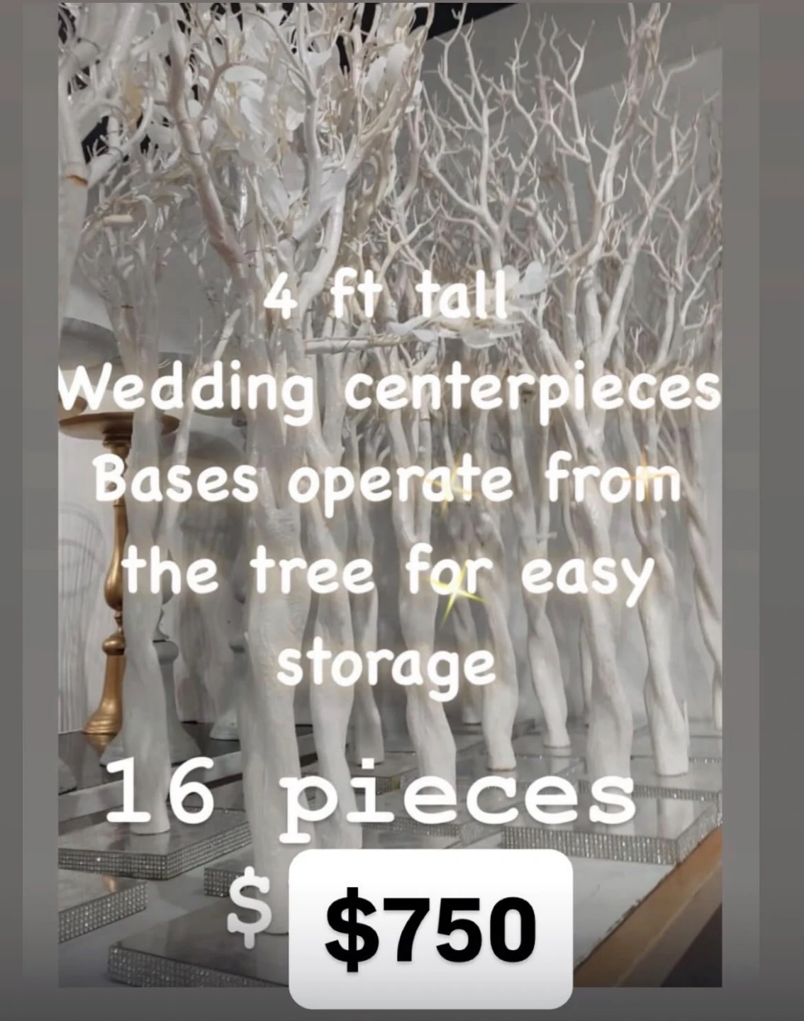 16 Wedding Centerpieces - White Tree Branches - 4 ft tall