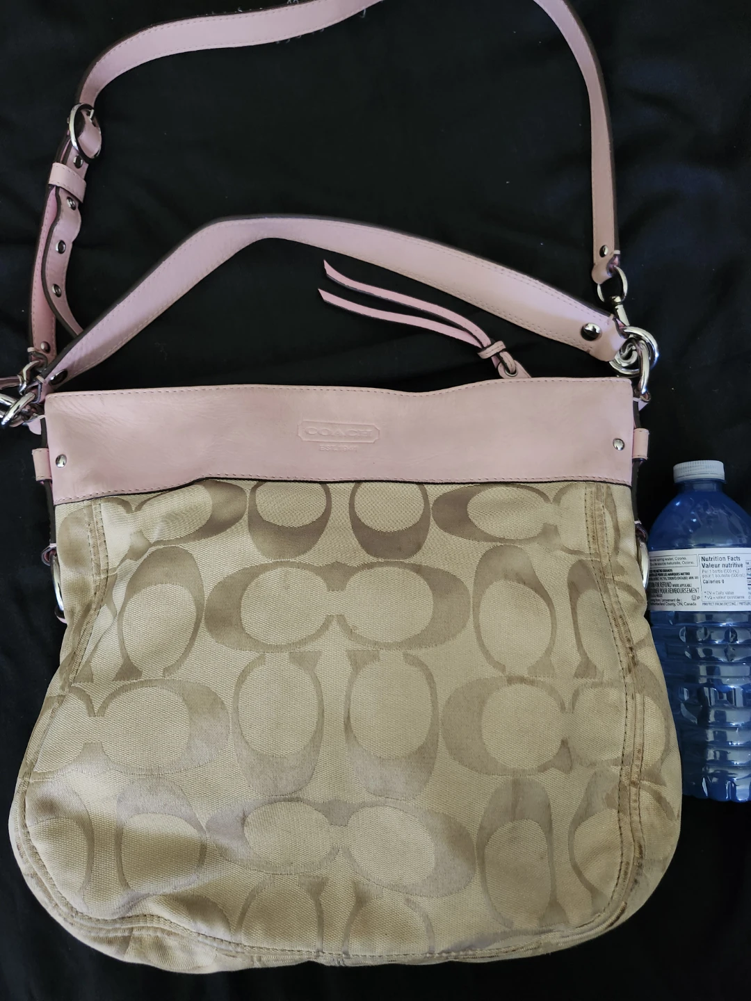 Coach Signature Hobo Bag Y2K Purse