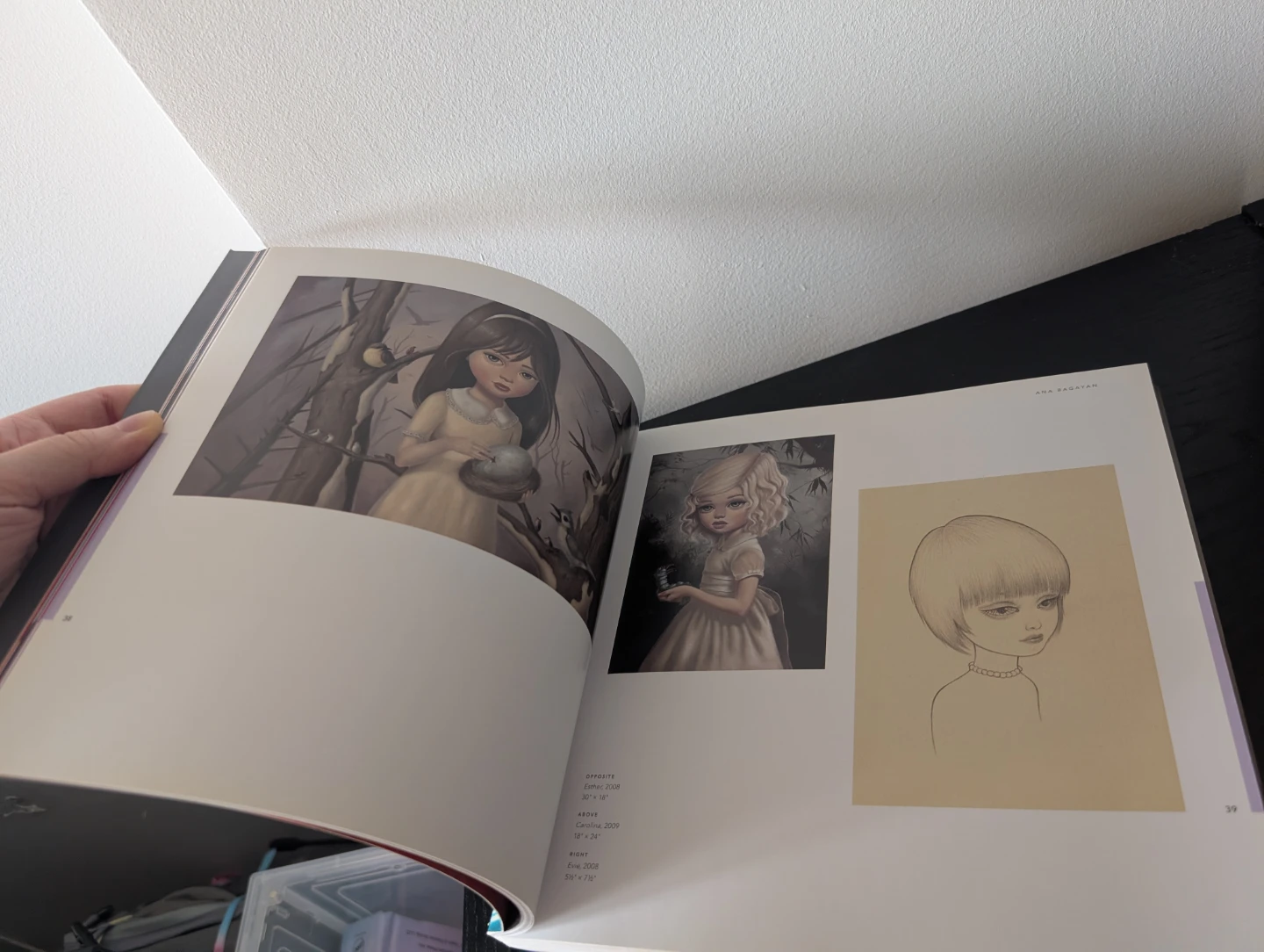 Weirdo Noir: Gothic and Dark Lowbrow Art Book - photo 4