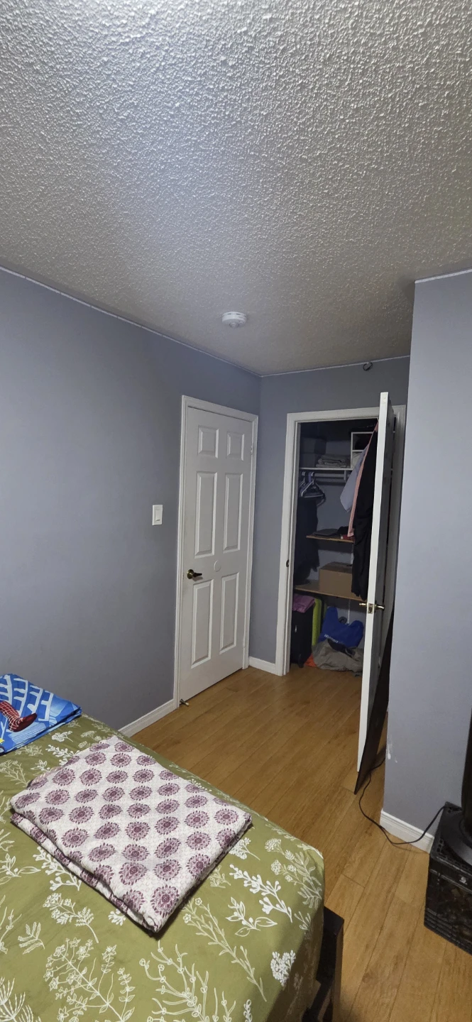 Rental Accomodation