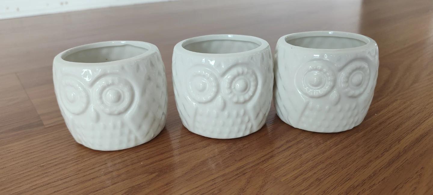 Set of 3 White Ceramic Owl Planters