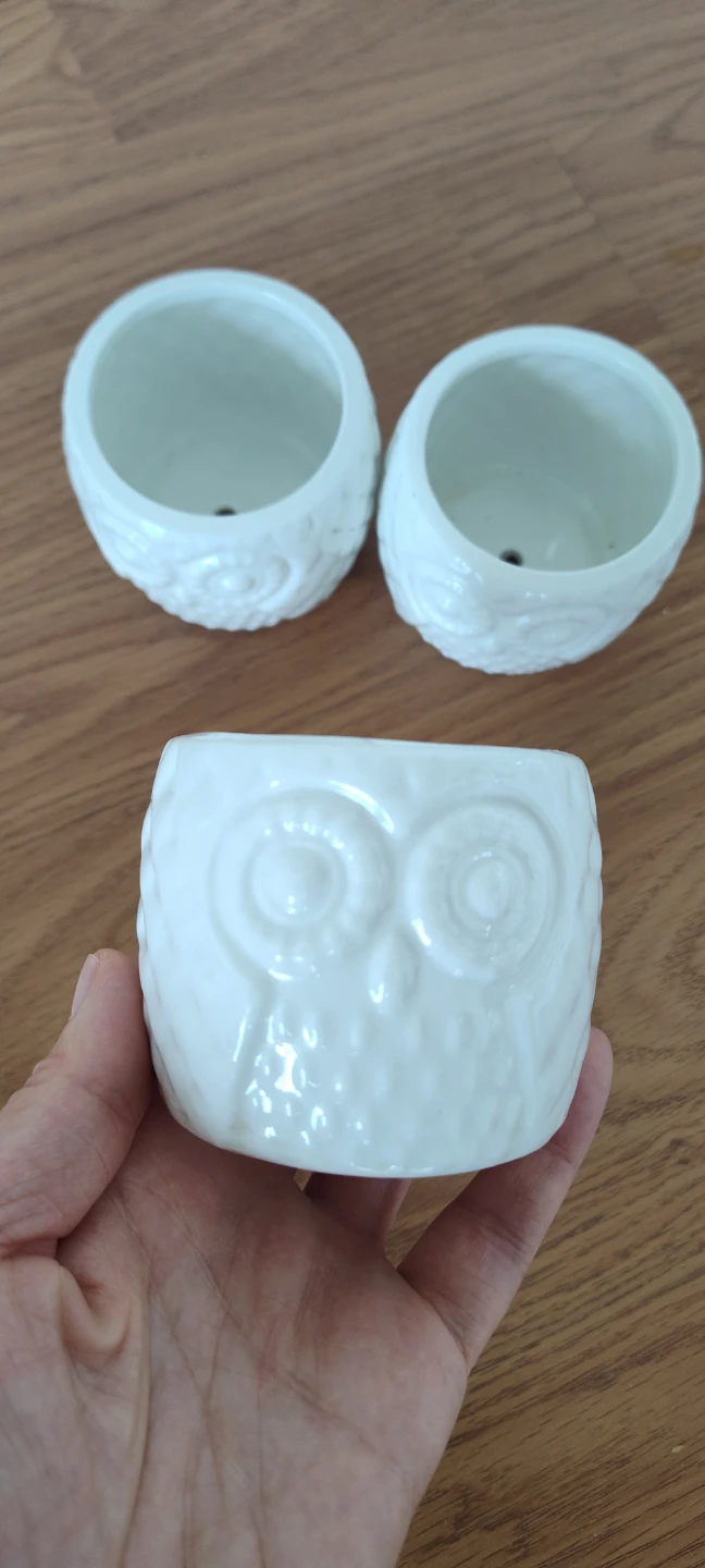Set of 3 White Ceramic Owl Planters - photo 2