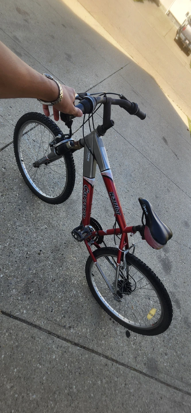 Carrera Mountain Bike