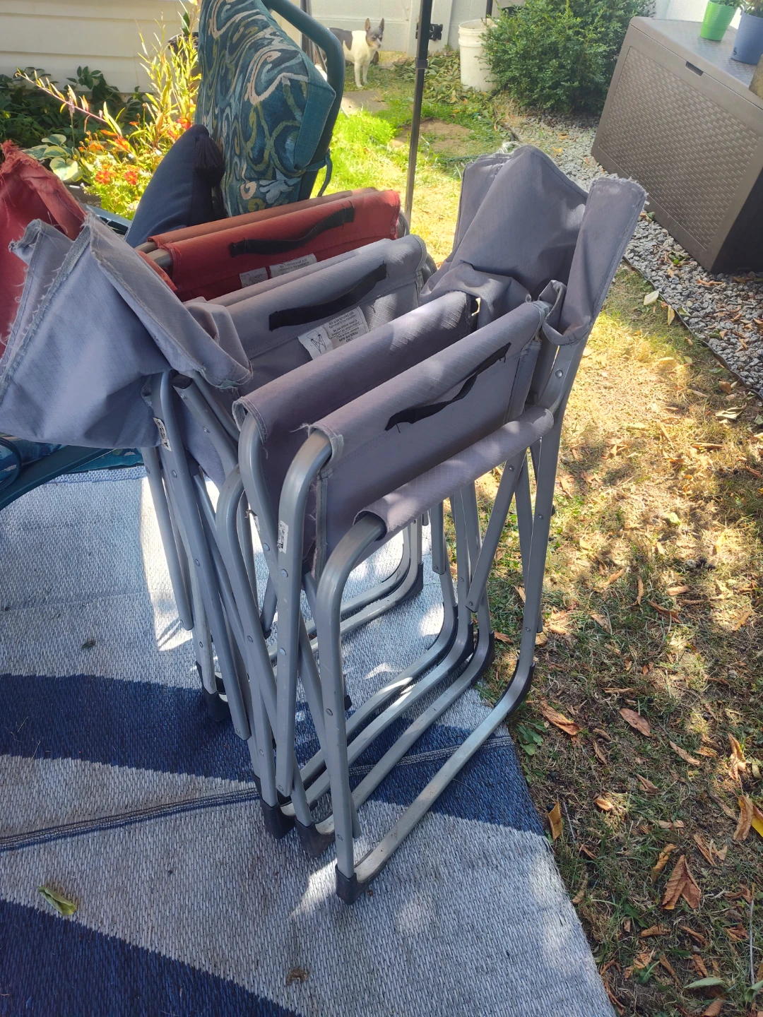 Pair of Director Chairs - photo 4