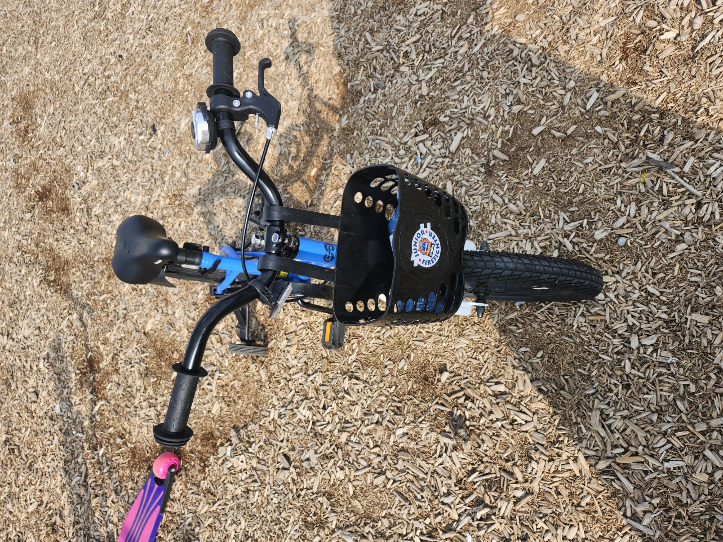 ProRider Kids Blue Bicycle with Training Wheels