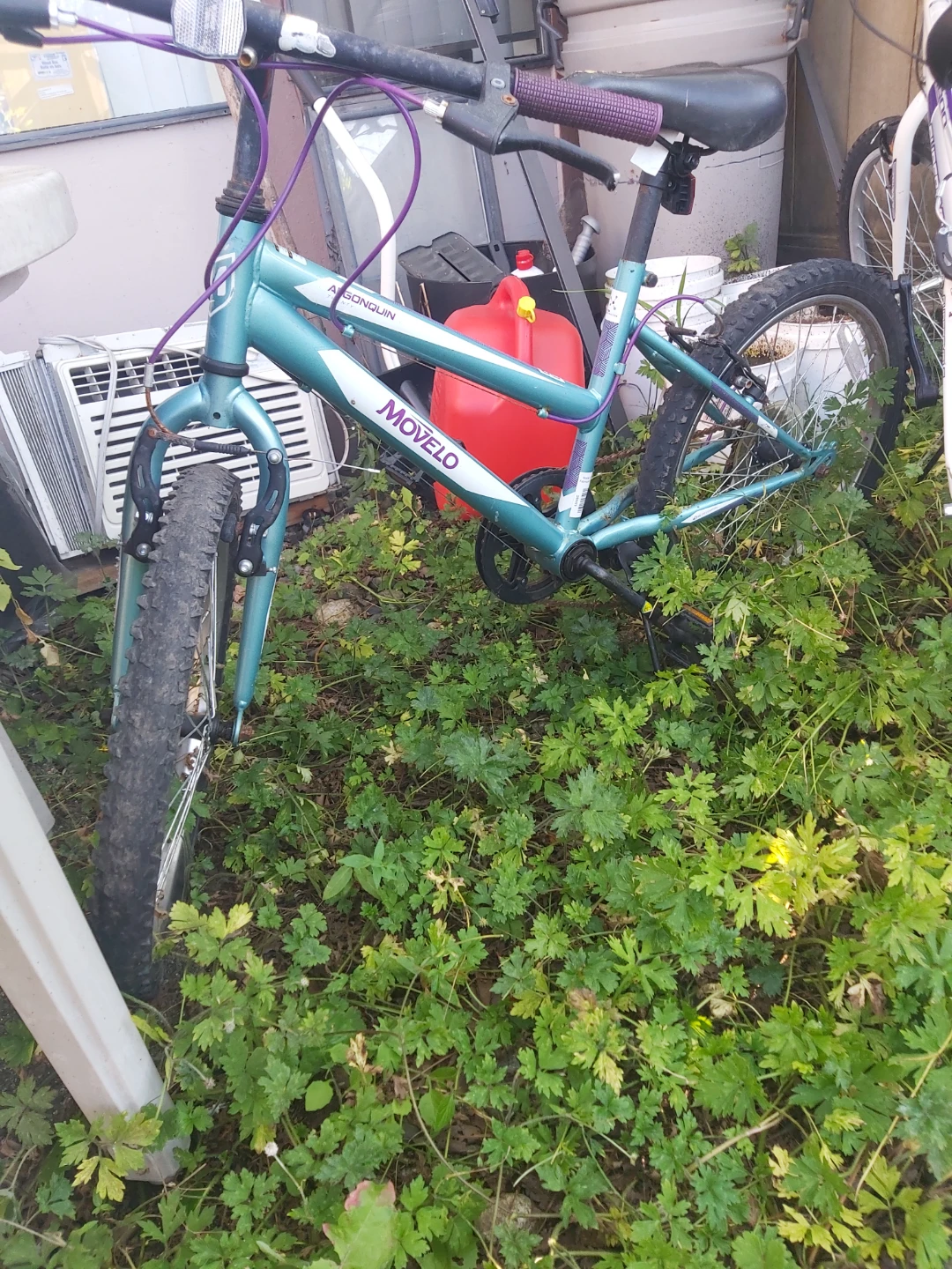 Movelo "Algonquin" Mountain Bike