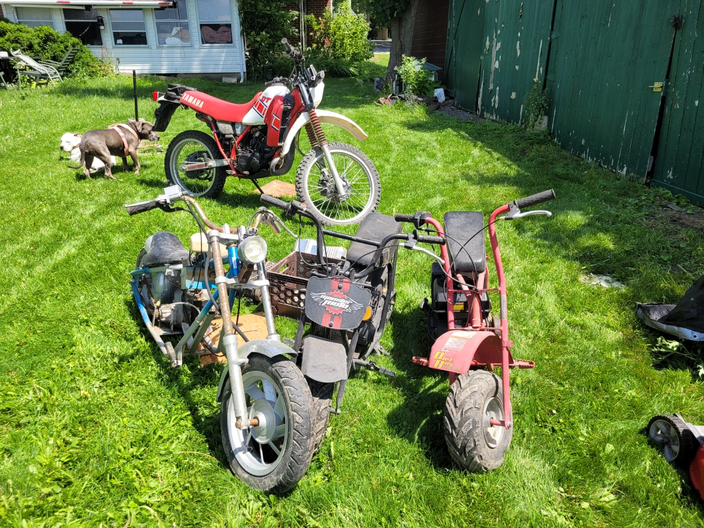 2 Baja Mini Bike 4 Engine 1 mini chopper