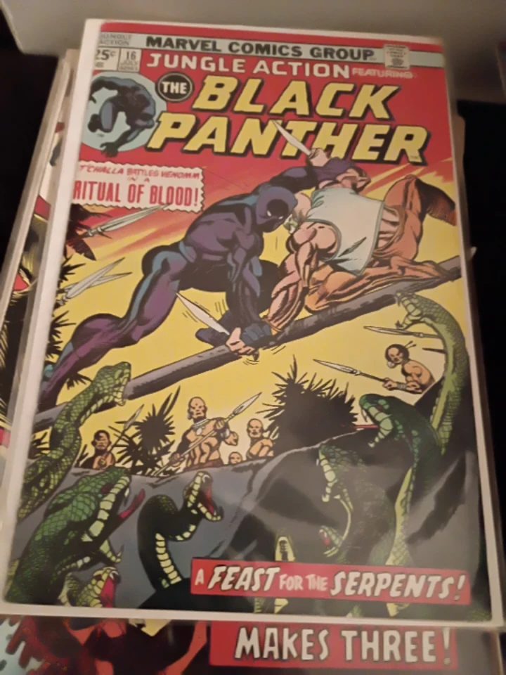 The Black Panther Lot - photo 3