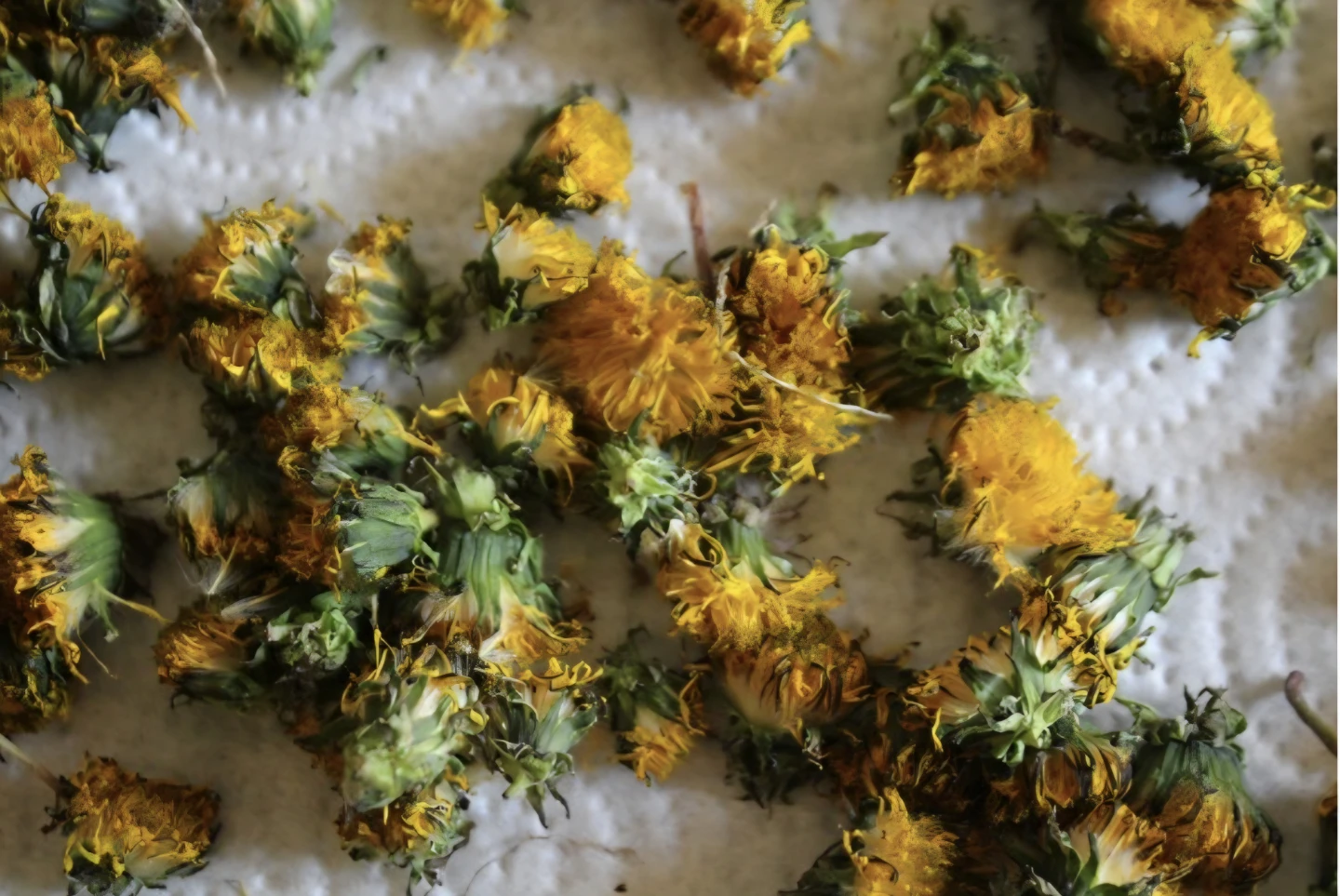 Dandelion Soap Bar - photo 4