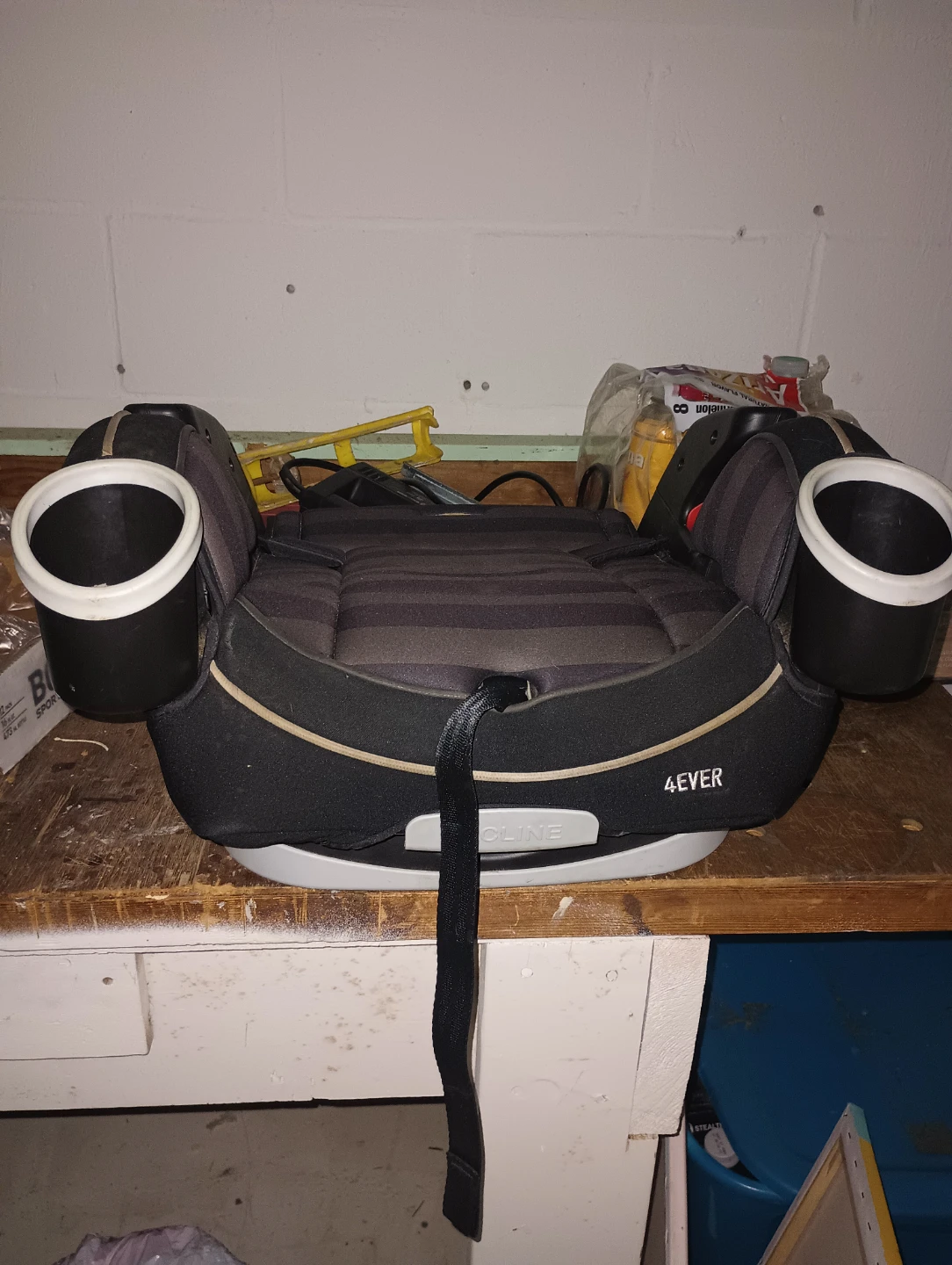 Britax 4Ever Booster Seat