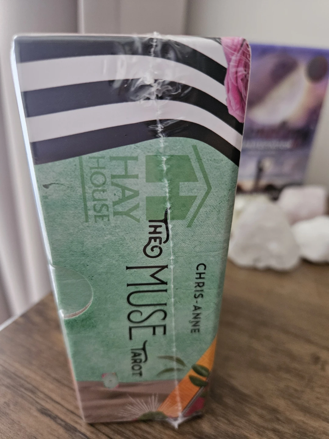 The Muse Tarot Deck and Guidebook - photo 2