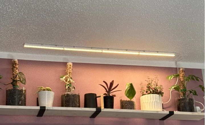 Plant grow light