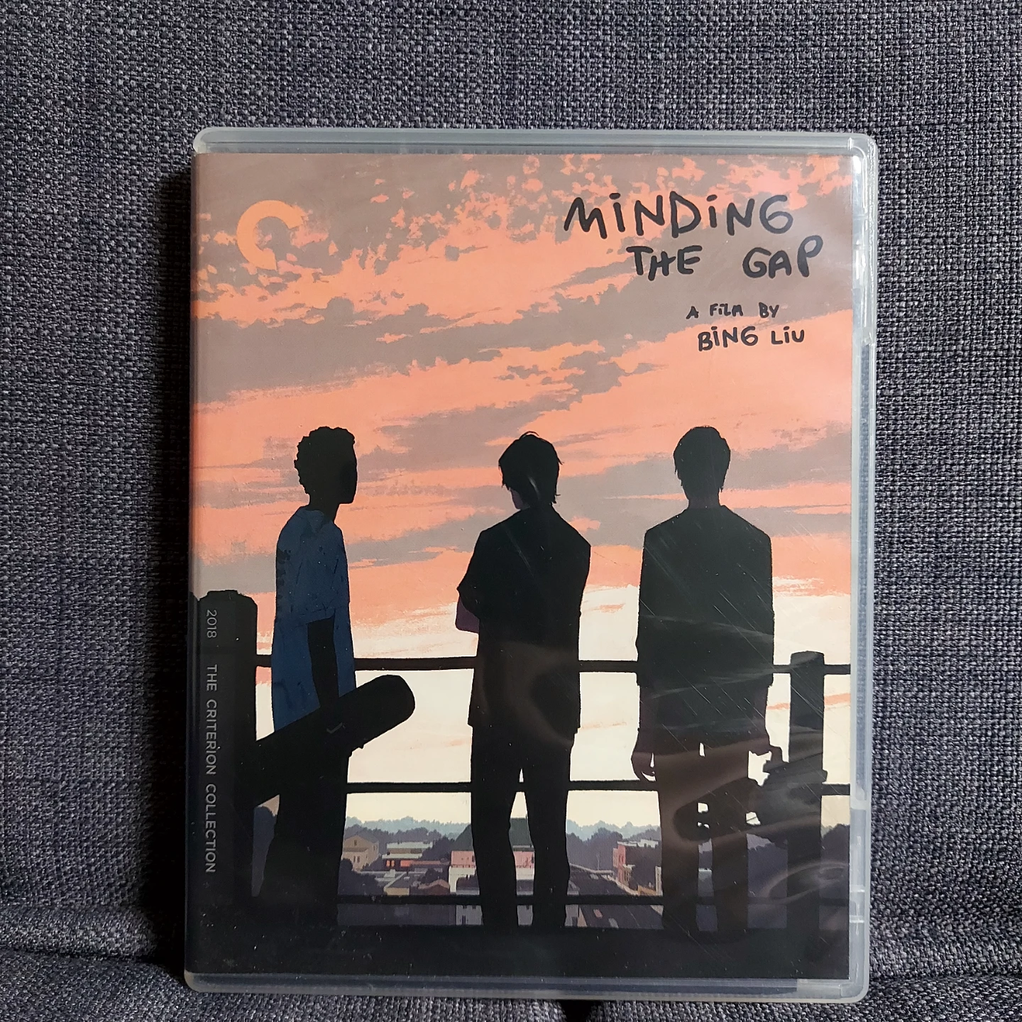 Minding the Gap Blu-Ray criterion collection.