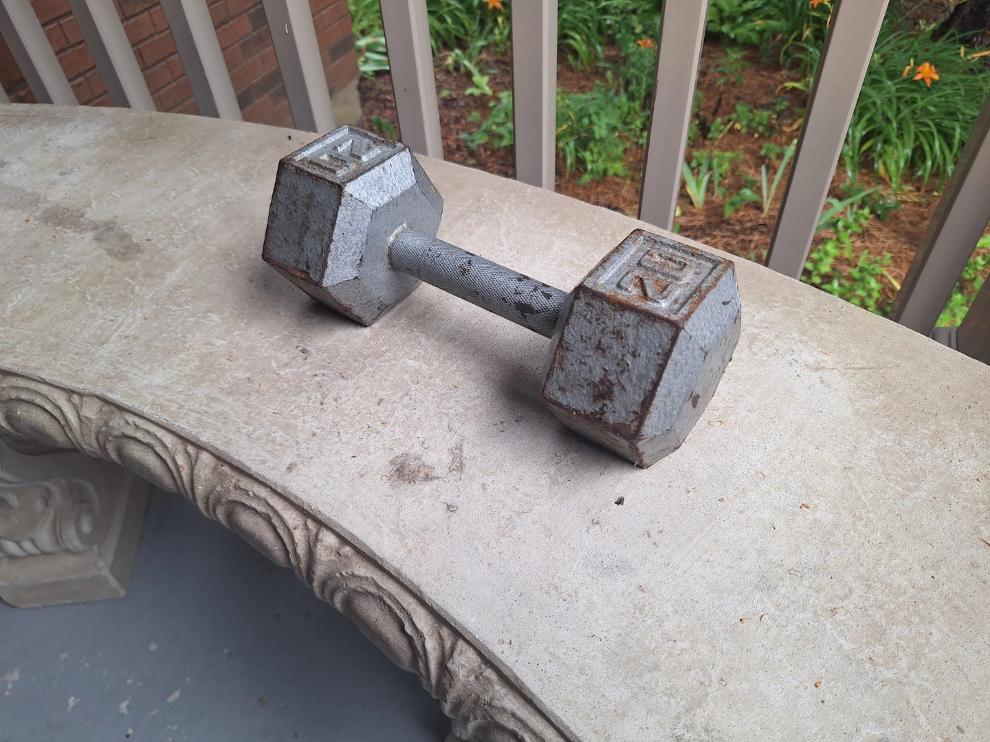 20lb Dumbbell