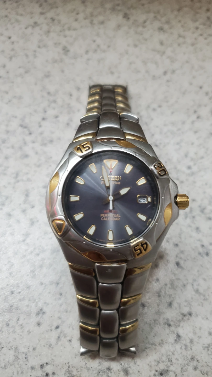 Citizen Perpetual Calendar Watch