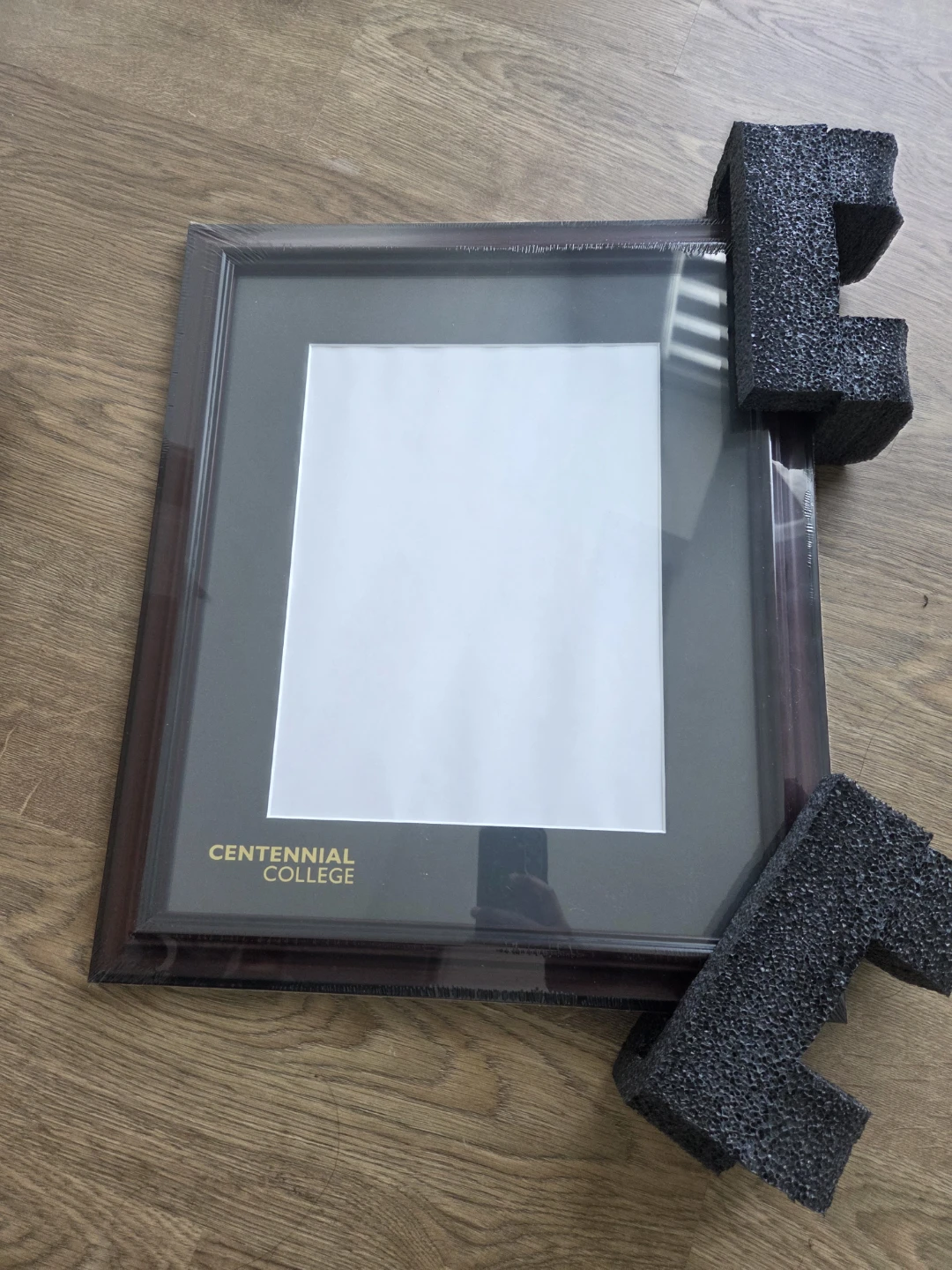 Centennial College Graduation Frame