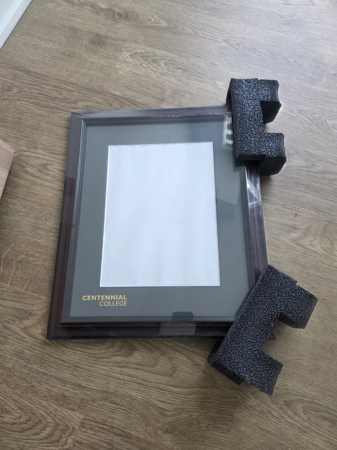 Centennial College Graduation Frame - photo 2