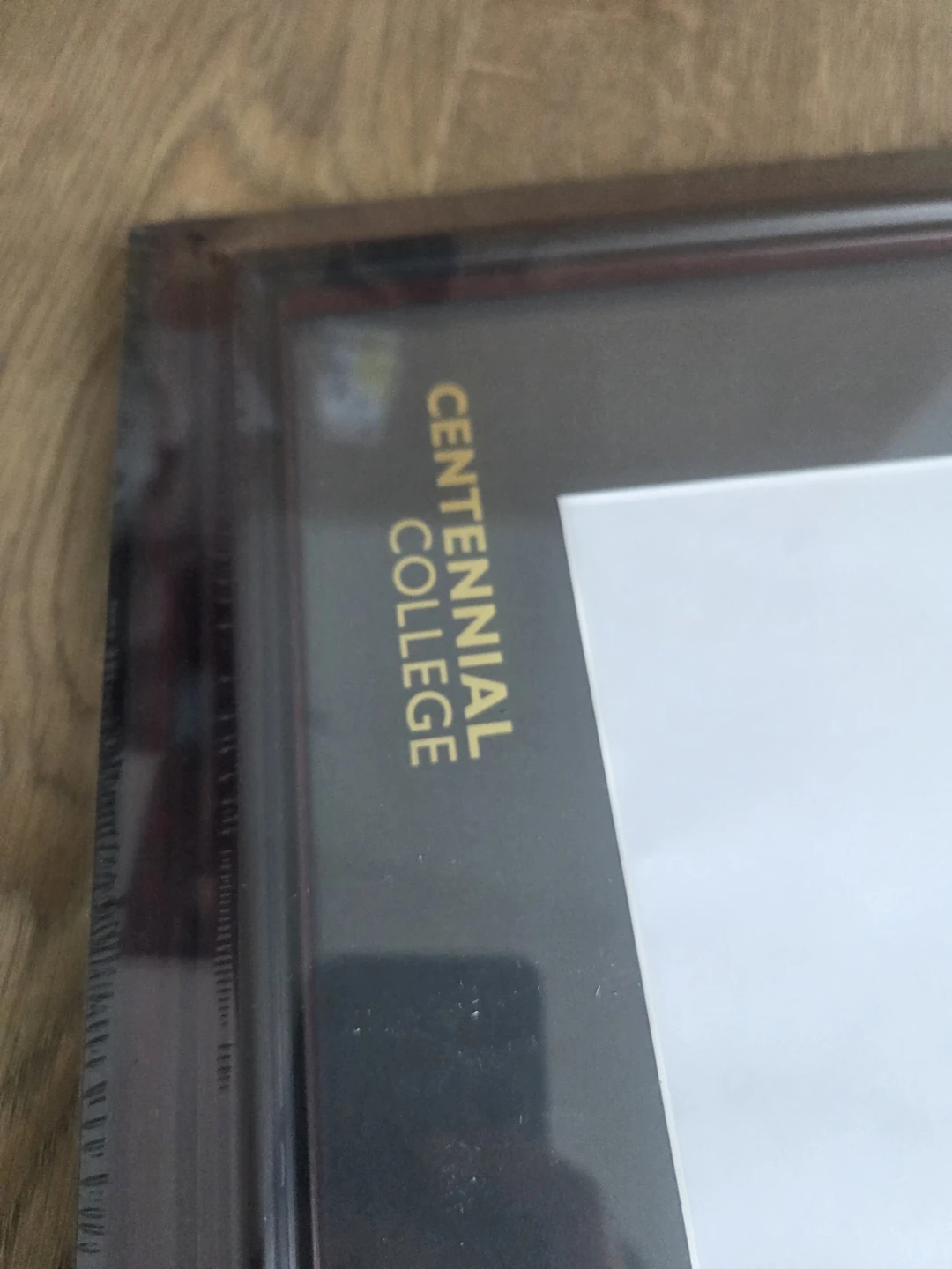 Centennial College Graduation Frame - photo 3