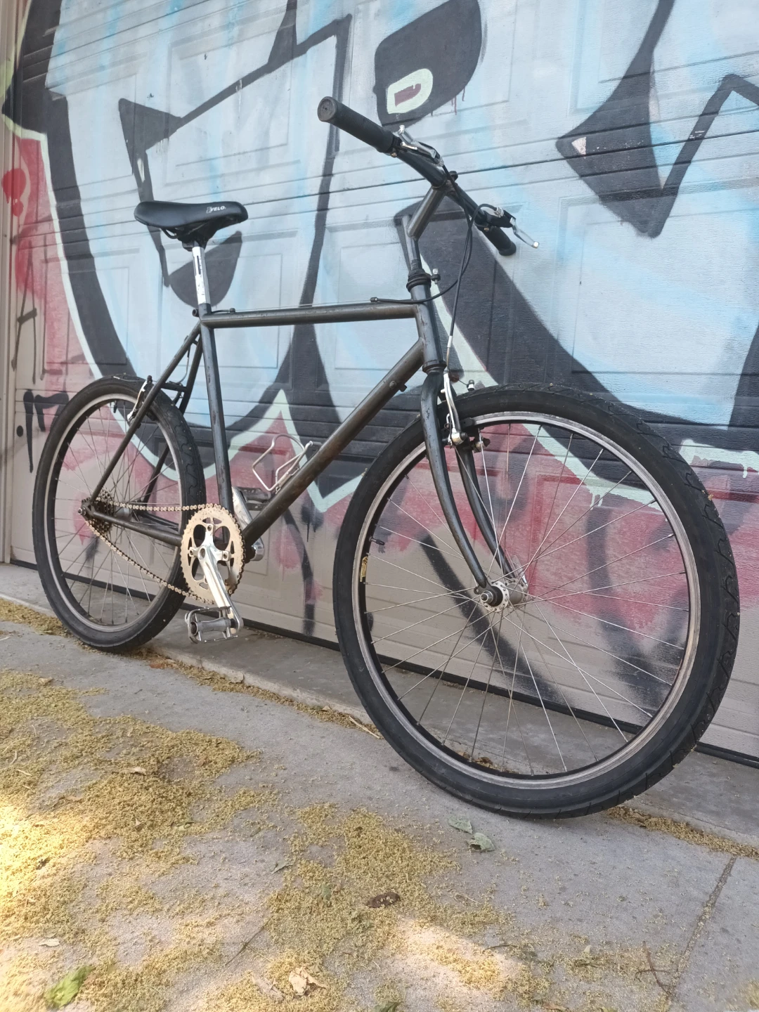 Single Speed Bike for tall Parson - photo 2