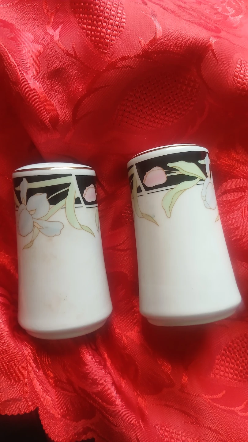 Salt and Pepper Shakers Set