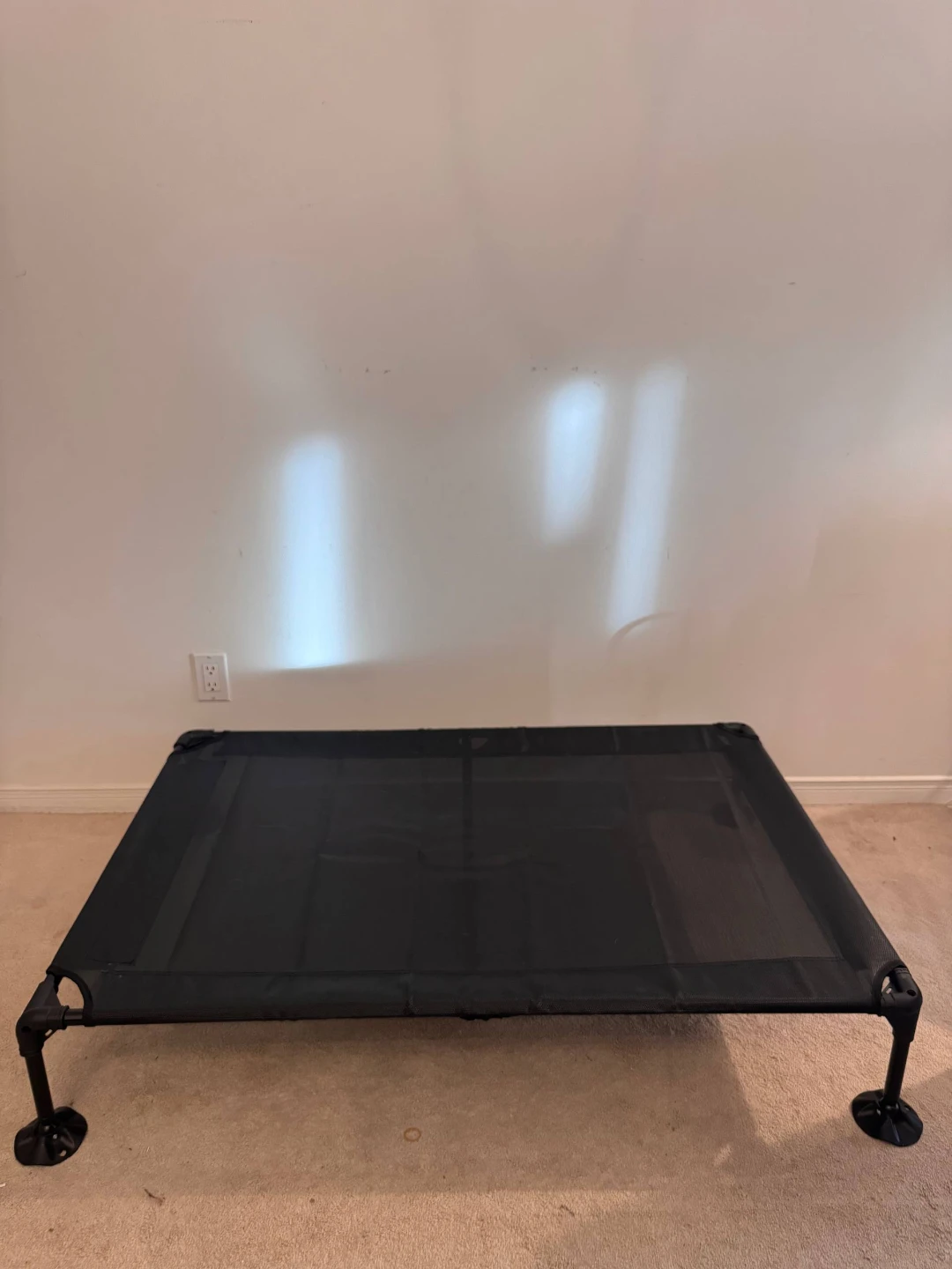 Black Elevated Pet Bed
