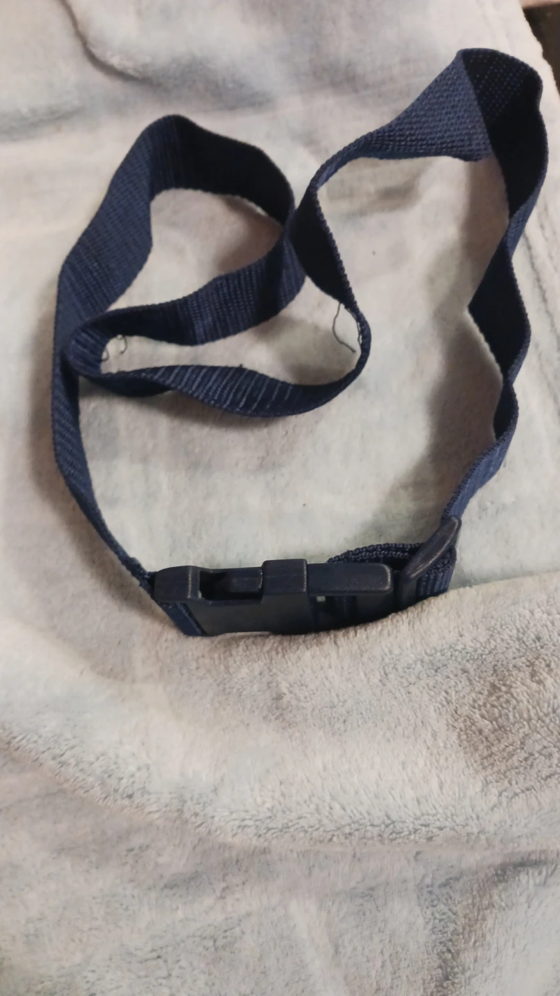 Navy Blue Webbing Strap with Buckle