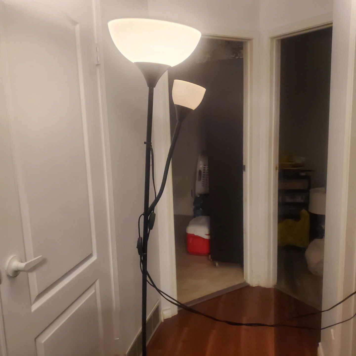 Black Floor Lamp with Two Lights - photo 2