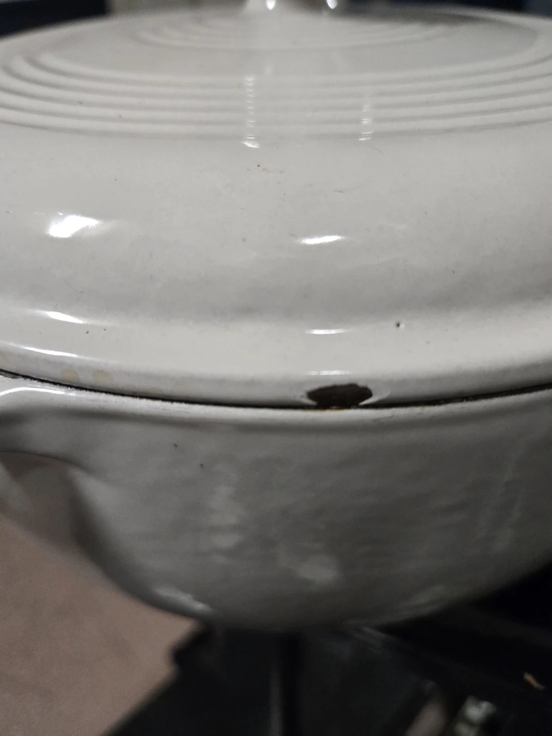 Lodge Enameled Cast Iron Dutch Oven with Lid - White Cream - photo 2