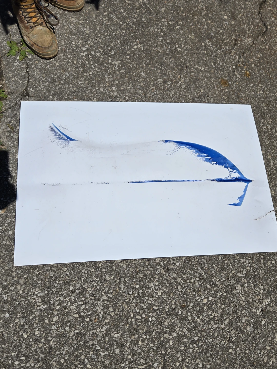 Lynnette A. Browne "Blue Fin" Giclée Photograph