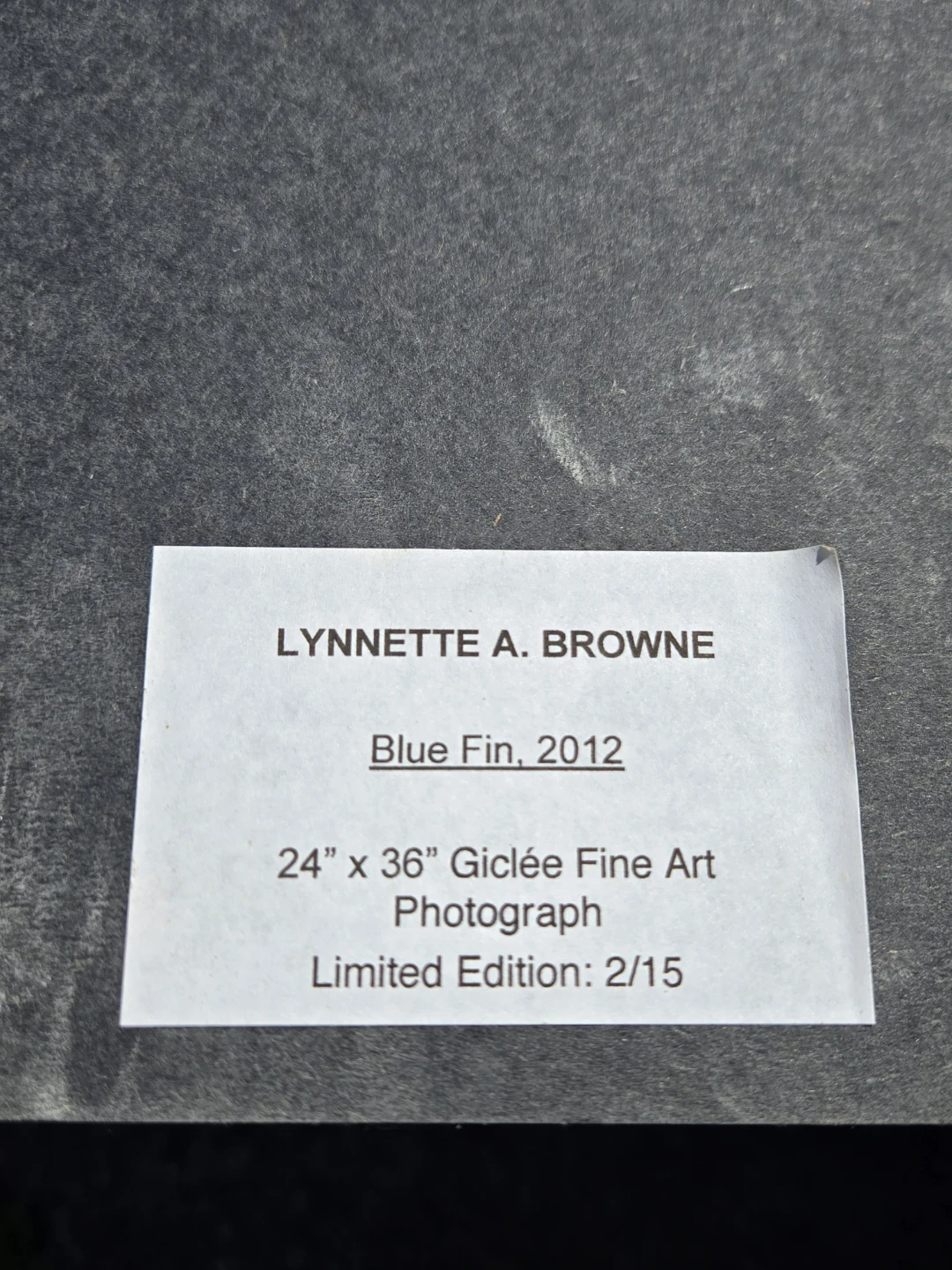 Lynnette A. Browne "Blue Fin" Giclée Photograph - photo 2
