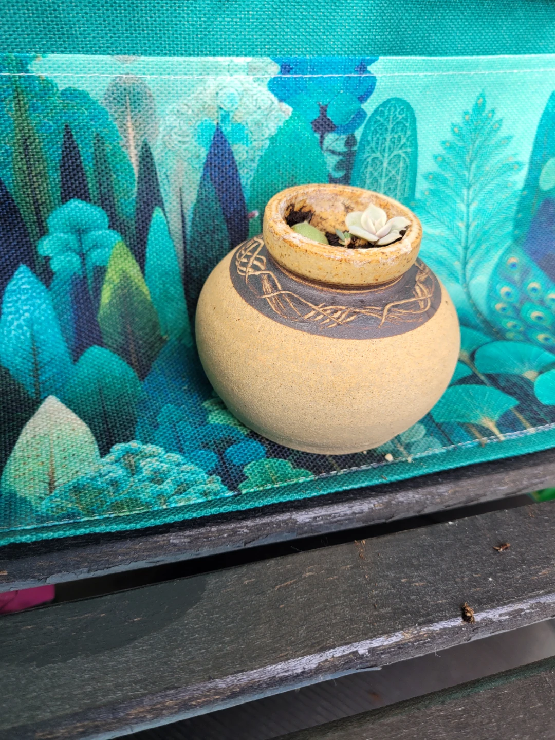 Small Decorative Pot with Succulents - photo 3