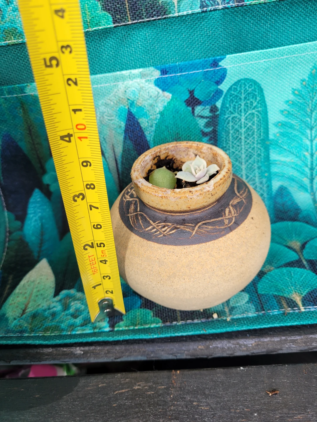 Small Decorative Pot with Succulents - photo 4