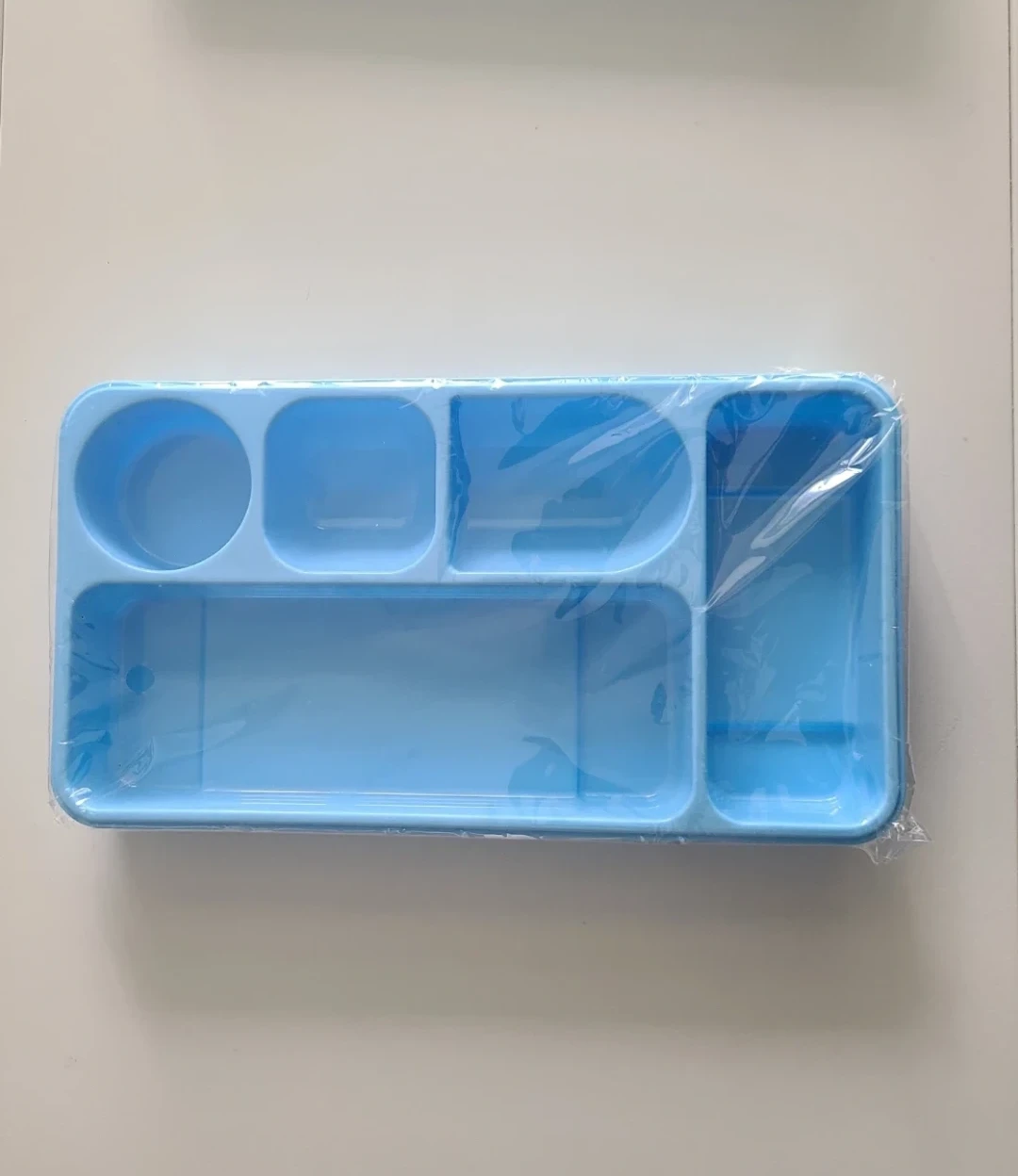 Blue Plastic Organizer Tray with Multiple Compartments