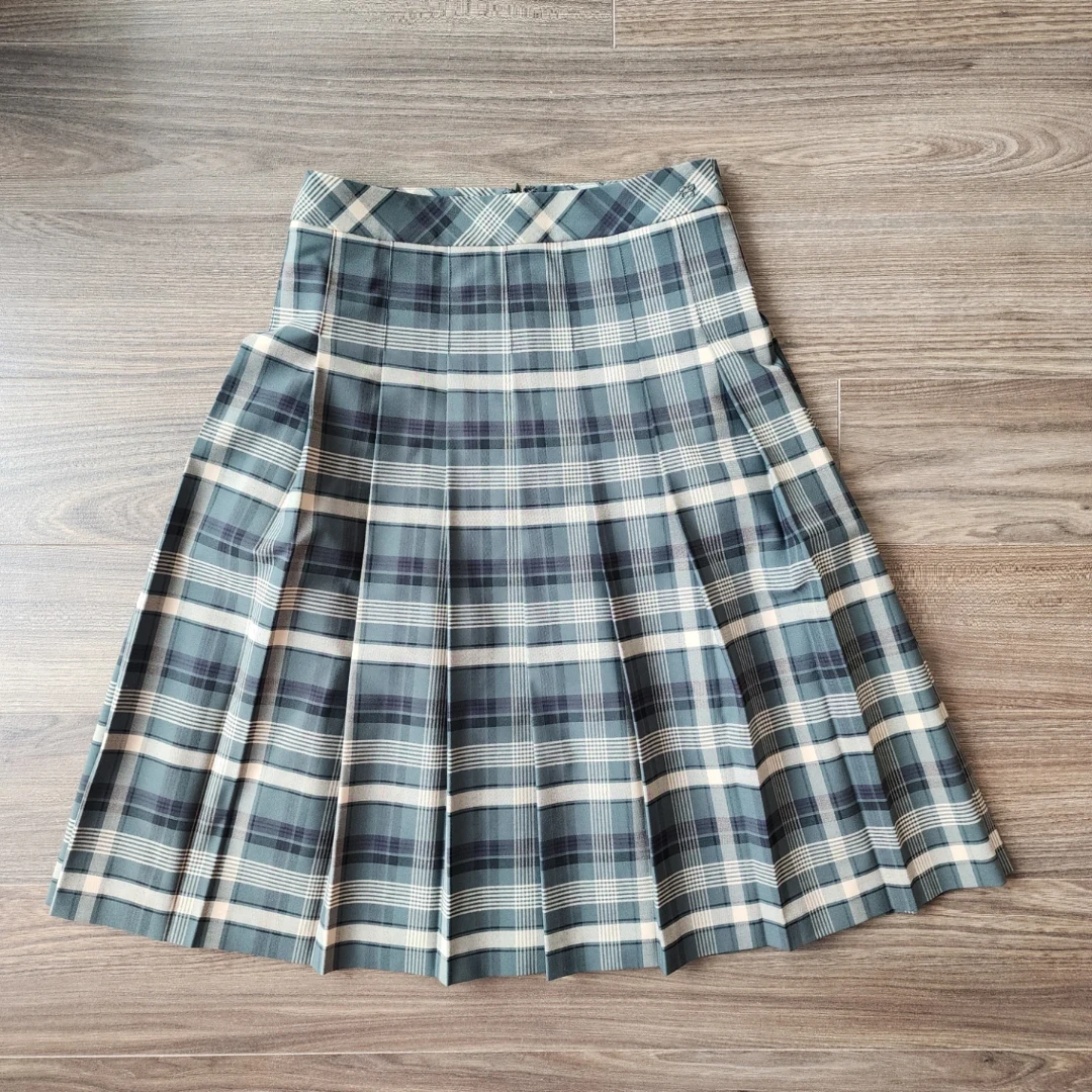 Aritzia Skirts & Short Bundle - photo 2