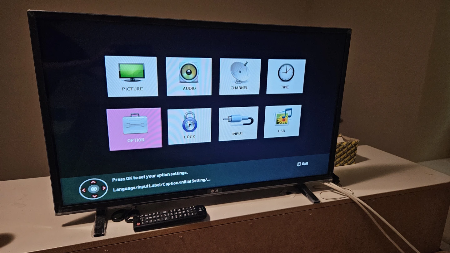 LG 32" TV