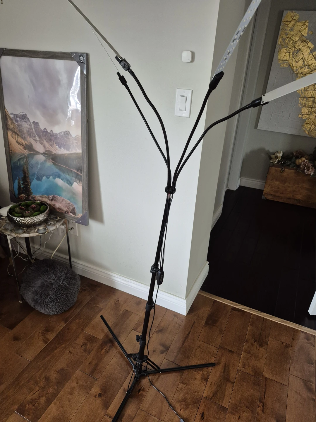 Grow light on tripod