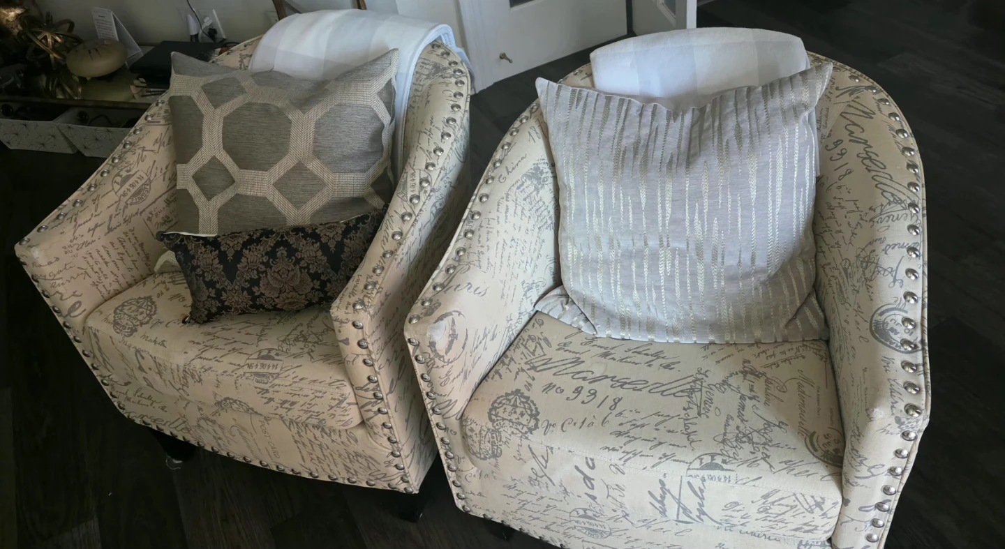 Accent Chair - French Script Pattern - photo 5