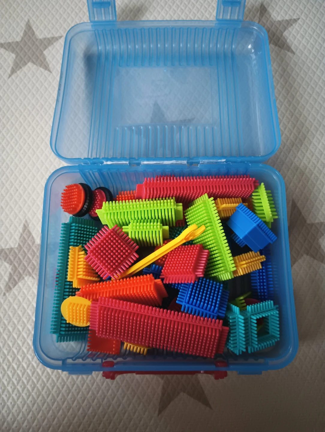 Bristle Blocks Building Toy Set with Case
