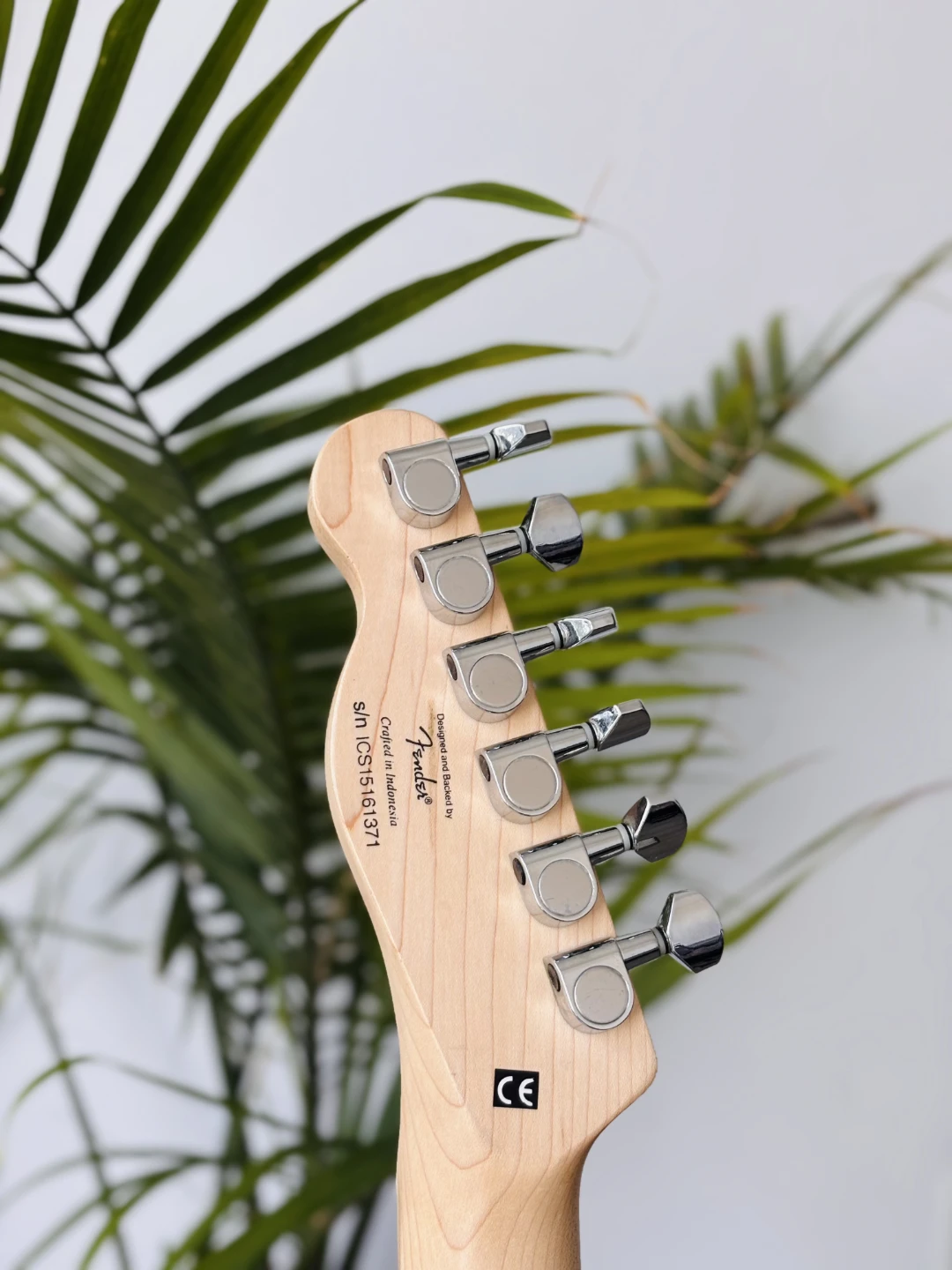 Squier Fender Telecaster  with fender Gig bag - photo 5