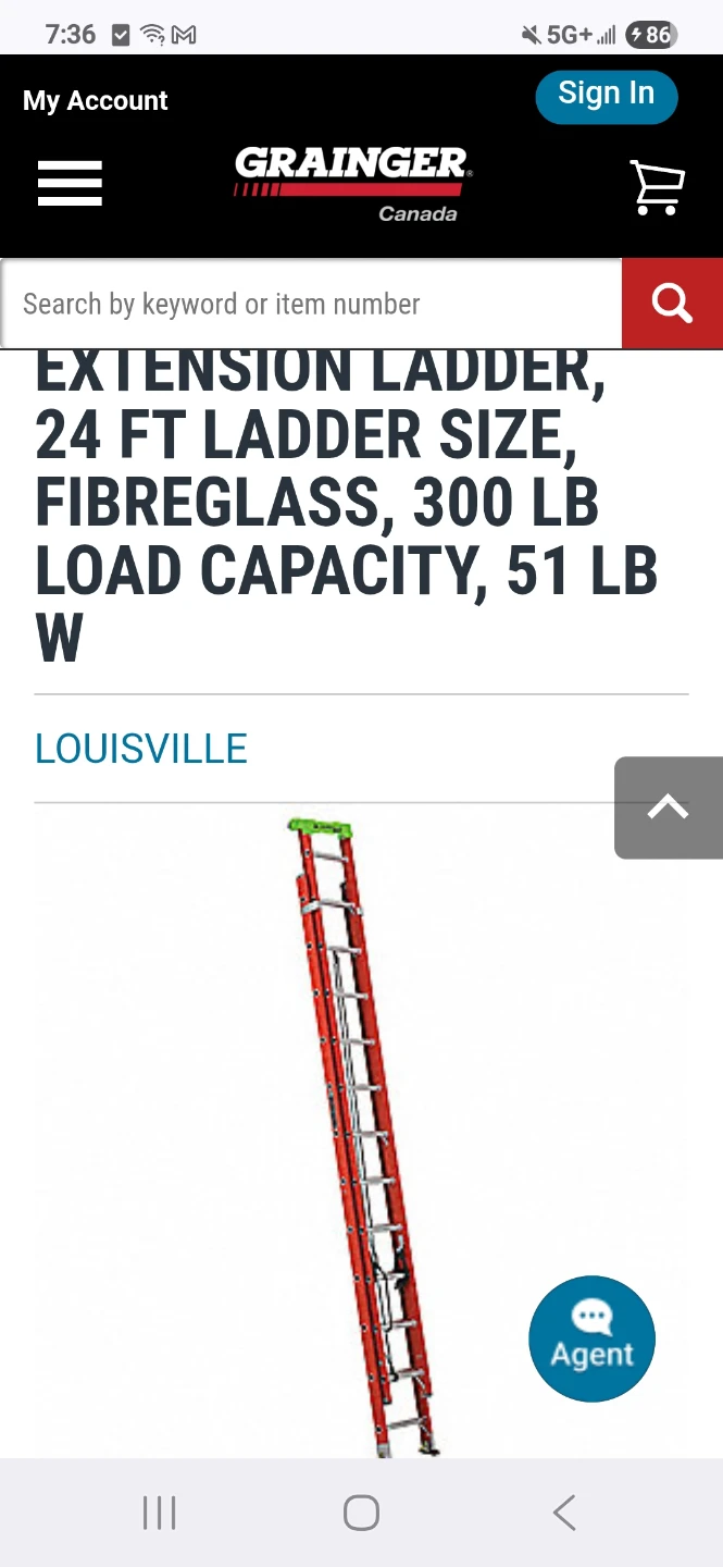 Louisville Extension Ladder, 24 ft, Fiberglass