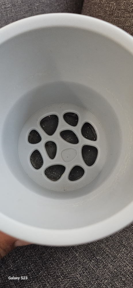 Philips avent baby bottle warmer - photo 3