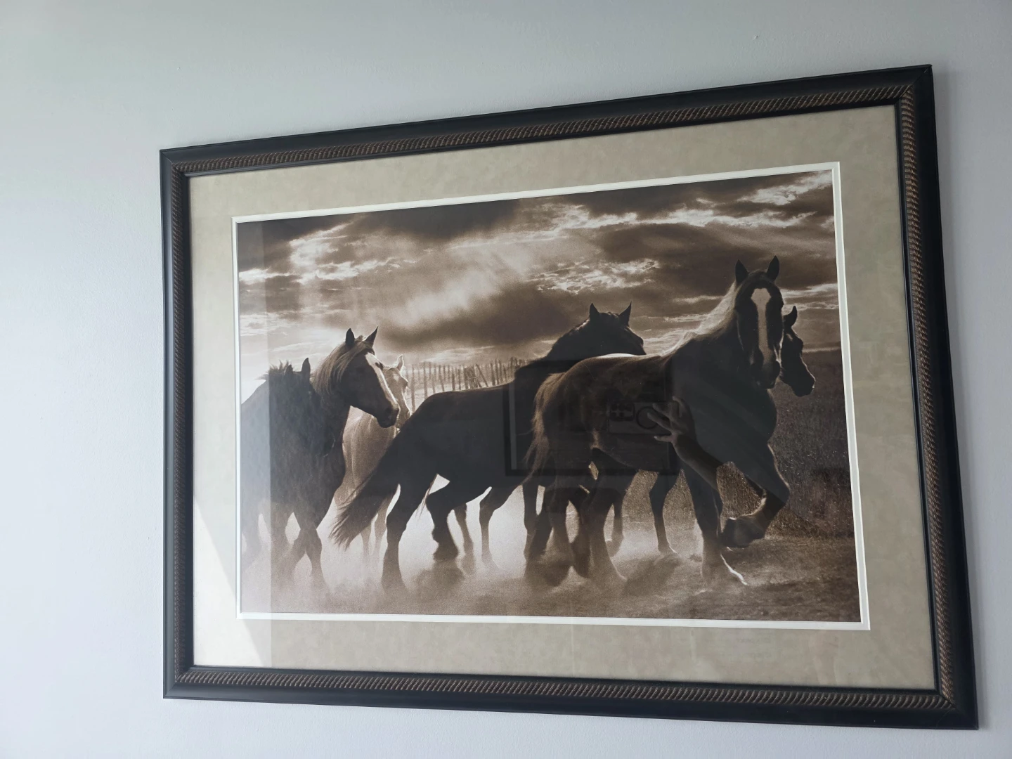 Framed Print of Running Horses