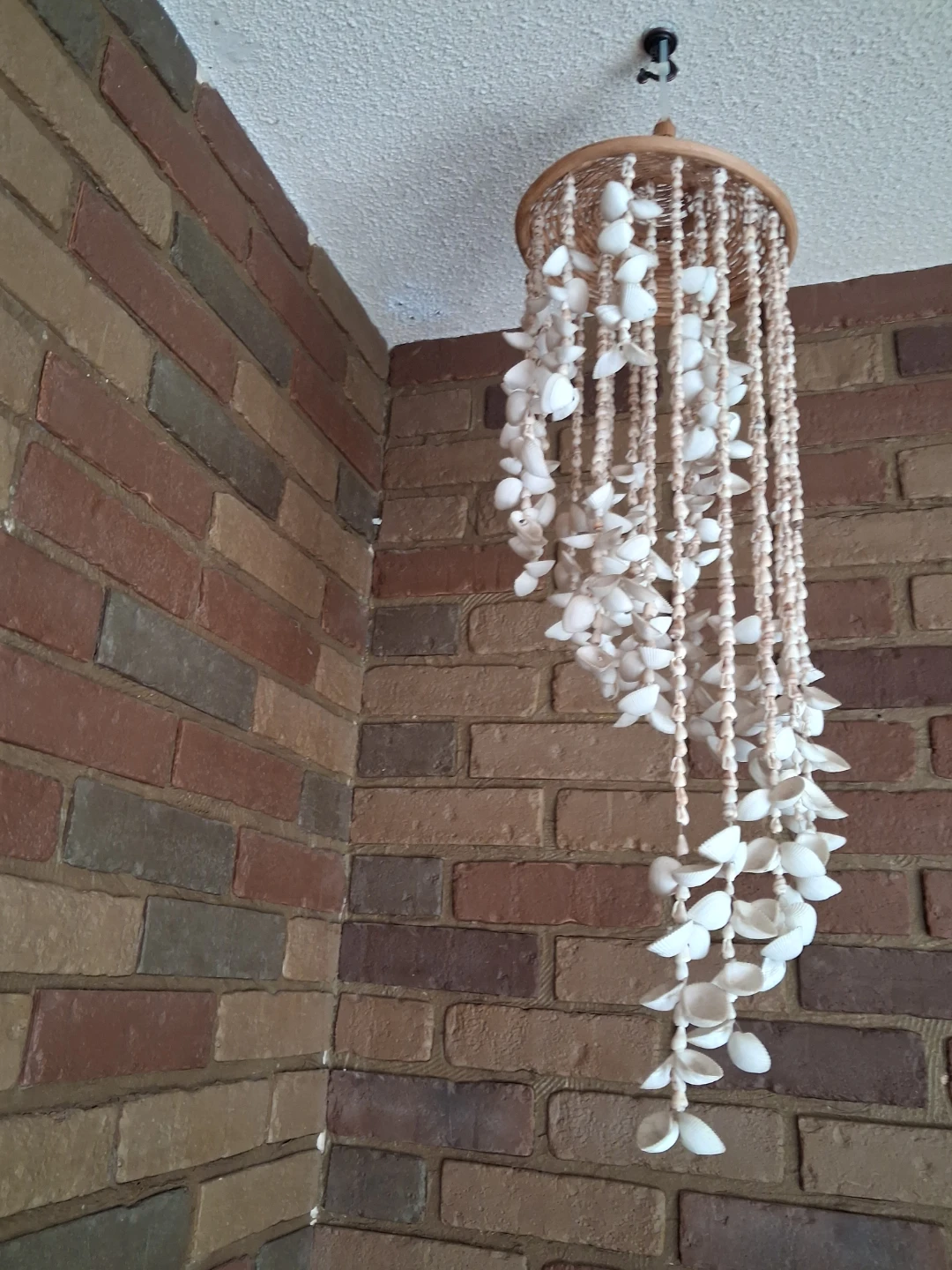 Seashell Chandelier