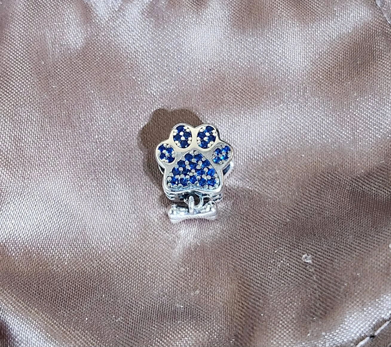 Blue Paw Print Charm with Bone